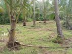 Land for Sale in Negombo