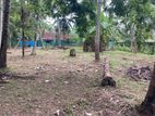 Land for Sale in Negombo