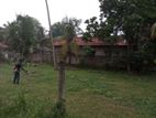 Land for Sale in Negombo