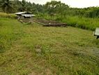 Land for sale in Negombo