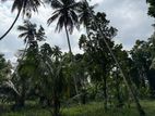 Land for sale in Negombo