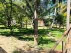 Land For Sale in Negombo