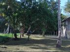 Land for sale in Negombo