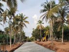 Land for sale in negombo