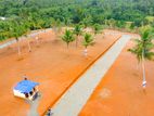 Land for Sale in Negombo