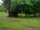 Land for Sale in Negombo