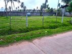 Land for Sale in Negombo Kadirana Area