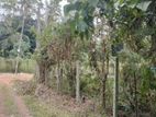 Land for Sale in Negombo Katana