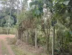 Land for Sale in Negombo Katana