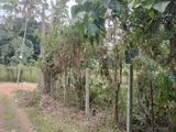 Land for Sale in Negombo Katana