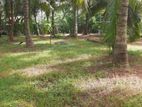 Land for Sale in Negombo - Kattuwa