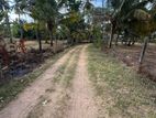 Land for Sale in Negombo | Kochchikade