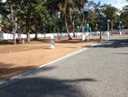 Land for Sale in Negombo Kochchikade
