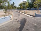 Land for Sale in Negombo Kurana