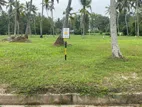 Land for sale in Negombo, Mellawagedara