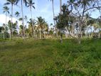 Land for Sale in Negombo Road