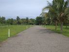 Land For Sale In Negombo Road