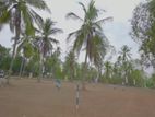 Land for Sale in Negombo Seeduwa Raddolugama