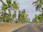 Land for sale in Negombo Seeduwa raddolugama