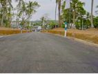 Land for Sale in Negombo Seeduwa Raddolugama