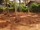 Land For Sale In Negombo Town