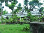 Land for Sale in Negombo ( With a Large House )