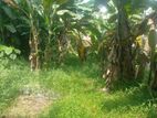 Land for Sale in Neligama