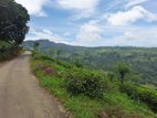 Land for Sale in N'Eliya Road - Pudaluoya