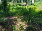 Land for sale in Nelumdeniya