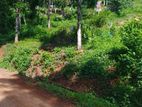 Land for Sale in Nelumdeniya