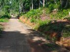 Land for Sale in Nelumdeniya