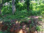 Land for Sale in Nelumdeniya