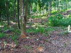 Land For Sale In Nelumdeniya