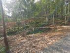 Land for Sale in Nelumdeniya