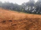 Land for sale In Nelundeniya