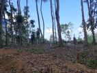 Land for sale in Nelundeniya