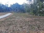 Land for sale in Nelundeniya
