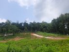 Land for sale in Nelundeniya