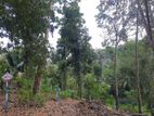 Land for sale in Nelundeniya