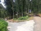 Land for sale in Nelundeniya