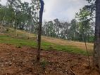 Land for sale in Nelundeniya
