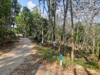 Land for Sale in Nelundeniya