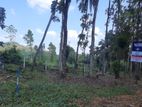 Land for Sale in Nelundeniya
