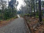 Land for Sale in Nelundeniya