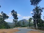 Land for Sale in Nelundeniya