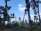 Land for sale in Nelundeniya