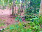 Land for Sale in Newdawa