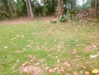 Land for Sale in Newdawa