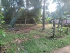 Land for Sale in Nianagoda, Jayavimana