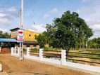 Land for Sale in Nikaveratiya, Vithikuliya